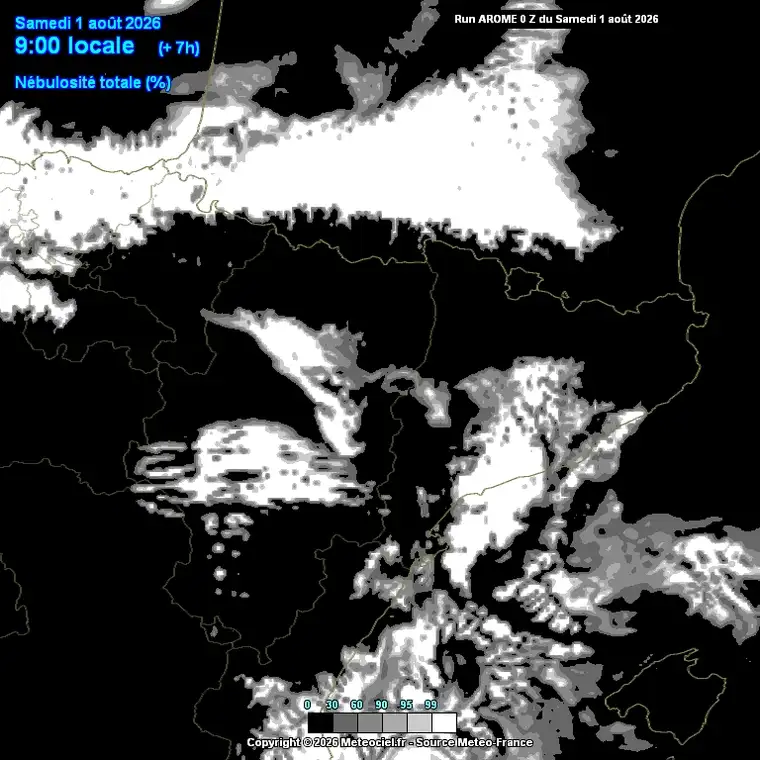 Cobertura nuvolosa total prevista al llarg del dia (model ECMWF, escala europea).
