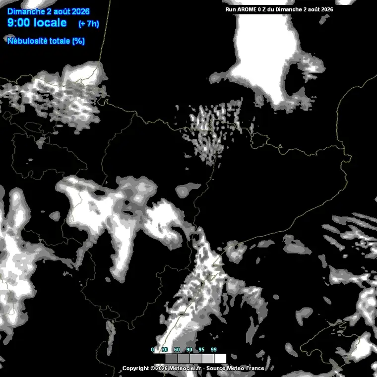 Cobertura nuvolosa total prevista al llarg del dia (model ECMWF, escala europea).